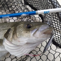 Savage Gear 3D Jig Minnows